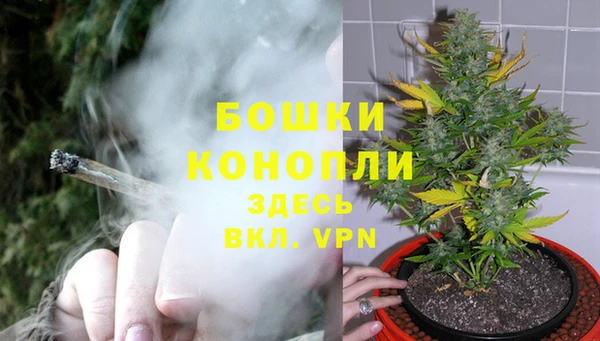 трава Михайловка