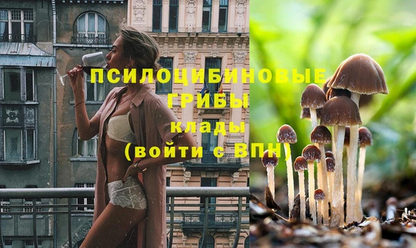 МДМА Михайлов